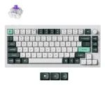 Keychron Q1 HE Q1H-P1 juhtmevaba klaviatuur 75%, magnetl&uuml;litid, ENG, Shell White