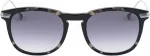 BELSTAFF P&auml;ikeseprillid naistele CARTER-S036 (l&auml;&auml;tse/silla/sanga) 53/20/145 mm
