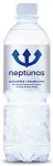 Neptūnas Karboniseeritud mineraalvesi NEPTUNAS, looduslik 0,5l PET, 12 tk