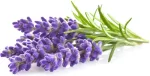 Click & Grow Smart Garden refill Lavendel 3tk