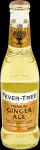 Fever Tree Toonik Ginger Ale 200ml, 24 tk