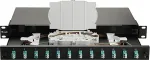EQUIP LWL-Splei&szlig;kasten 12-Port LC-Duplex OM3 1U komplett sw