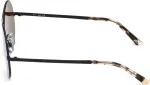 WEB EYEWEAR P&auml;ikeseprillid naistele WE0211-02G (L&auml;&auml;ts/Sild/Tagaosa) 59/16/146 mm