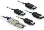DELOCK - SATA- / SAS-Kabel - 4-Lane - eSATA (W) bis 4x Shielded Mini MultiLane SAS (SFF-8088), 26-polig (M) - 1 m