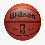 Wilson NBA Authentic Indoor & outdoor Brown