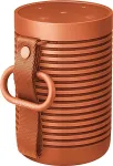 BANG & OLUFSEN BeoSound Explore Orange 60 W