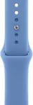 APPLE Watch Acc/40/Wildfl.Blue Sport Band - S/M