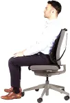 Fellowes CHAIR MESH BACK SUPPORT/PROFESSIONAL 8029901