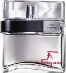 Ferragamo F by Ferragamo 100ml - Eau de Toilette meestele