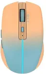 Hiir INCASE INCA Wrls Maus 1600DPI/2xBT5.1/6Tasten/LED/2.4GHzUSB-C