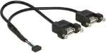 DeLOCK Kabel USB 2.0 Pfostenbuchse 2,00 mm 10 Pin > 2 x USB 2.0 Typ-A Buchse zum Einbau 25 cm