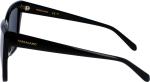 Ferragamo P&auml;ikeseprillid WOMEN SF1102S-1 (L&auml;&auml;ts/Sild/Tagaosa) 58/16/140 mm