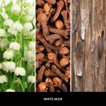 Millefiori Reed Diffuser 250 ml WHITE MUSK