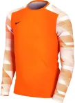 Nike Dry Park IV JSY LS GK JUNIOR Goalkeeper Sweatshirt Orange CJ6072 819 XL
