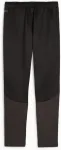 PUMA teamGOAL Male Black Polyester