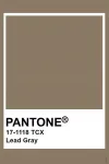 No name Bed cover set solid dark ecru satin 145x205