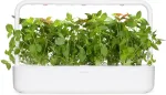 Click & Grow Smart Garden Refill Sidrunbasiilik 3tk