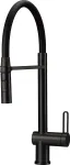Deante Kitchen tap with flexible spout
