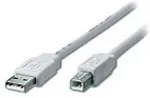 Equip USB2.0 Druckerkabel USB-A->USB-B St/St 1.80m transp. Polybeutel