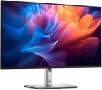 Monitor Dell 24 PRO P2425H FHD 100HZ IPS 16:9 HAS PIVOT USBC-15W