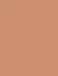 Shiseido Sun Protection Tanning Compact Foundation Bronze 12g - SPF10 Makeup naistele