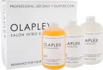 Olaplex Bond Multiplier No. 1 Salon Intro Kit 525ml - Hair Serum naistele
