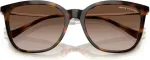 Armani Exchange P&auml;ikeseprillid naistele AX4151S821313 (l&auml;&auml;tse/silla/sanga) 55/17/140 mm