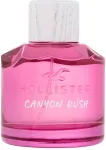 Hollister Canyon Rush 100ml - Eau de Parfum naistele