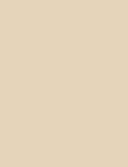 Inebrya Bionic Color 10/13 Blonde Platinum Beige 100ml - Hair Color uniseks