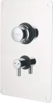 Deante Concealed shower mixer - with temperature control