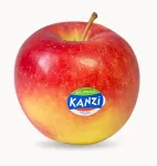 No brand &Otilde;un Kanzi, I klass, KG