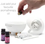 Rio DHMI-EU/1,3 Aroma Difuser, Humidifier & Night Llight
