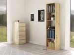 TOP E SHOP Topeshop R50 ARTISAN office bookcase