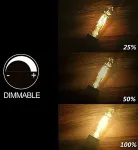 Blaupunkt LED lamp E27 Filament A60 1055lm 8W 2700K