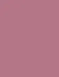 Inebrya Color Rose Intense Pink 100ml - Hair Color uniseks
