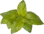 Click & Grow Smart Garden refill Laimbasiilik 3tk