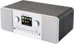 Raadio No name GoGen IR 257 BTDAB Internet Digital Silver