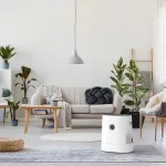 BONECO H320