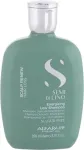 ALFAPARF MILANO Semi Di Lino Scalp Renew Energizing 250ml - Shampoo naistele