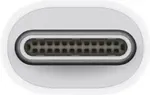 APPLE Thunderbolt 3 (USB-C) to Thunderbolt 2 Videoadapter Hvid