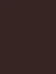 Inebrya Bionic Color 5/7 Extra Chocolate 100ml - Hair Color uniseks