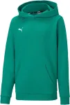 PUMA teamGOAL 23 Casuals Hoody Jr Sweatshirt green 656711 05 128