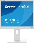 Monitor Iiyama ProLite/B1980S-W1/19"/TN/1280x1024/75Hz/3ms/White/3R