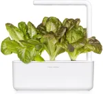Click & Grow Smart Garden Refill Punane Rooma salat 3tk