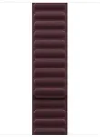 APPLE 42mm Burgundy Magnetic Link - M/L | Apple