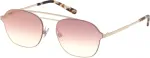 WEB EYEWEAR P&auml;ikeseprillid meestele WE0248-21G (L&auml;&auml;ts/Sild/K&otilde;rvaklamber) 58/18/145 mm