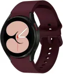 Tech-Protect kellarihm IconBand Samsung Galaxy Watch4, bordoo