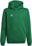 Adidas Sweatshirt for kids Entrada 22 Hoody green HI2143 116cm
