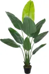 Home4you Kunsttaim WIND BIRD OF PARADISE H150cm