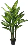 Home4you Kunsttaim WIND DIEFFENBACHIA H150cm